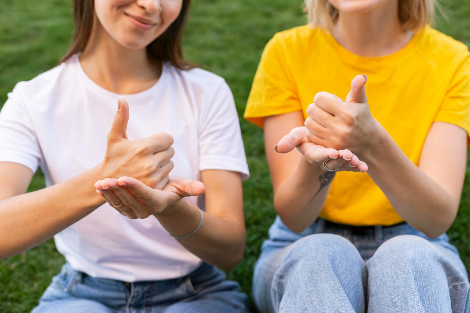 Advanced Sign Language Course: Advanced Training